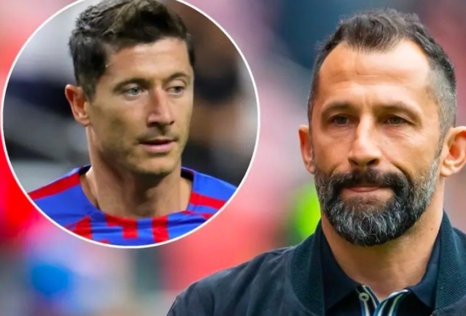 体系均以细 体系均以细